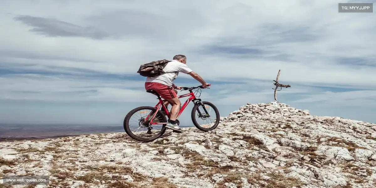 赏金女王官网——🥊拳力以赴！释放压力，格斗课程点燃你的斗志🔥
